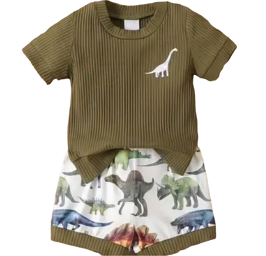 Rarr T-shirt and short set